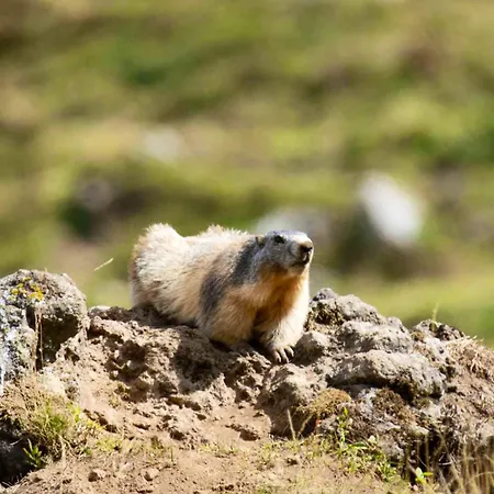 Maison Confortable à 80 M² Avec Jardin Spacieux Hébergement de vacances *